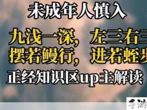 9浅1深左3右3＂含义及应用实例探究