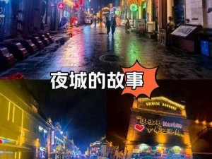 趣夜传媒：夜幕下的文化盛宴，你渴望怎样的非凡体验？