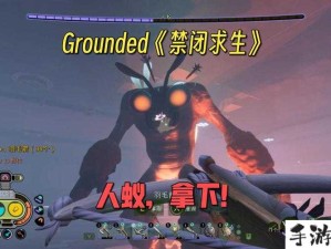 昆虫拆家如何预防？Grounded攻略大揭秘