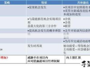 麻豆精产国品产区风险有哪些？应对策略详解