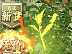 婺源茗眉夺笋秘籍，资源管理高效利用攻略