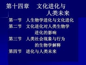 满级人类进化，安装配置全攻略与资源管理优化手册