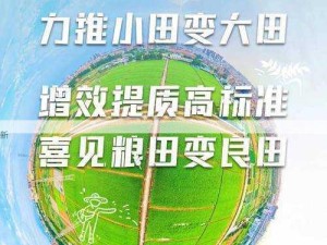 高效获取大地资源二高清免费观看与下载链接，确保优质观影体验