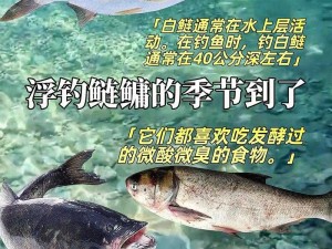 沙石镇时光，大沙鲢垂钓技巧与策略全解析