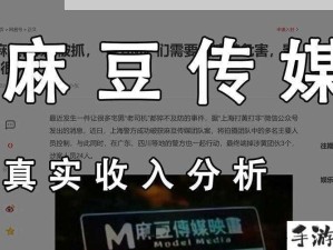 麻花豆传媒三大产区受众特征解析：区域化内容策略优化指南