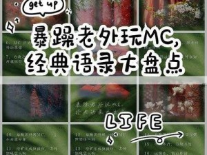 暴躁老外闯Minecraft中国版，玩家咋应对极限操作与文化碰撞？