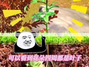 夺笋高手，九转还魂芝位置揭秘与资源管理策略