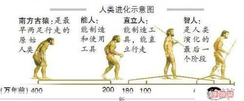 满级人类进化安装及配置说明，资源管理优化指南