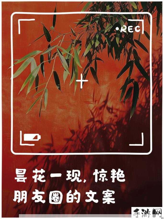 日夜皆躁，为何如此？有效应对策略分享