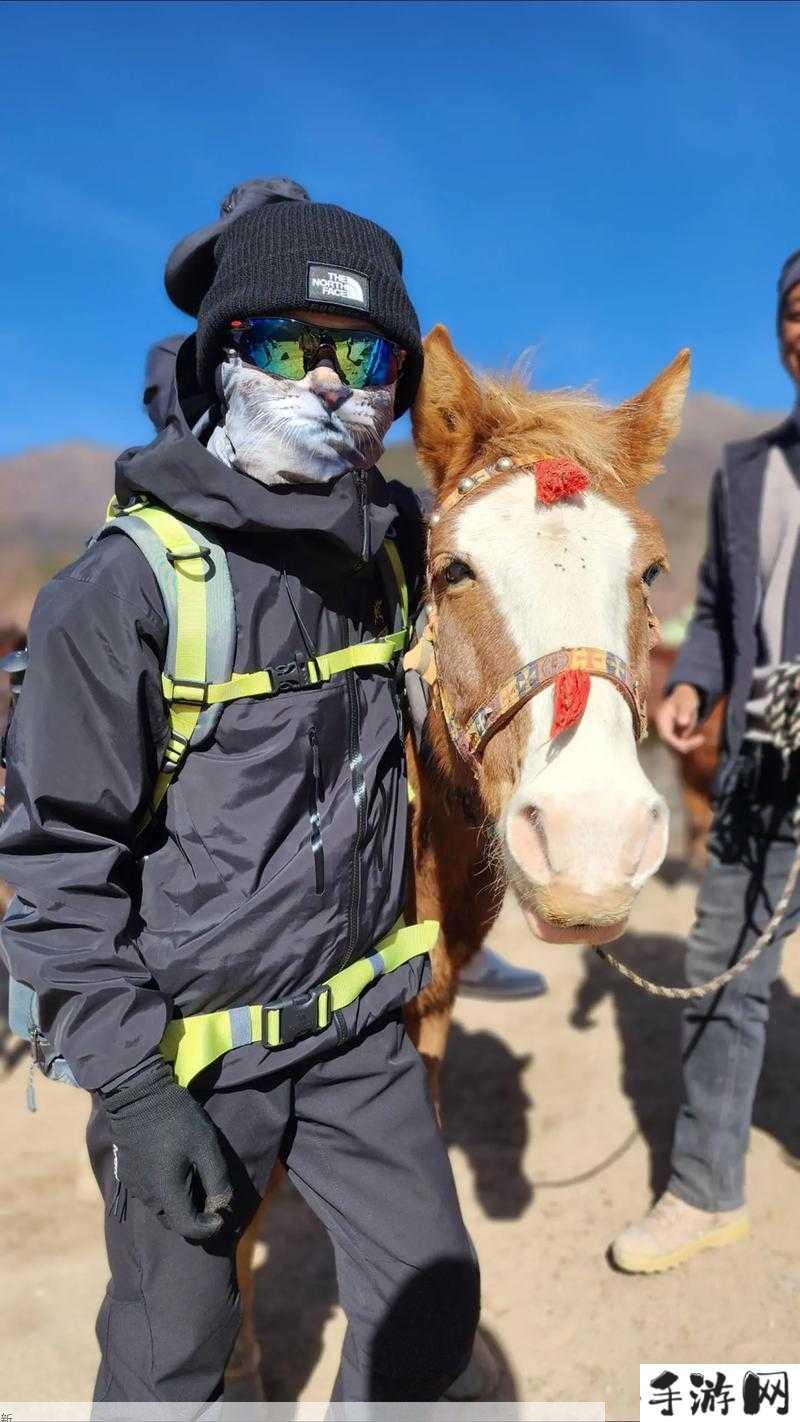 马与人配对和谐需时多久？了解人马互动规律(1)