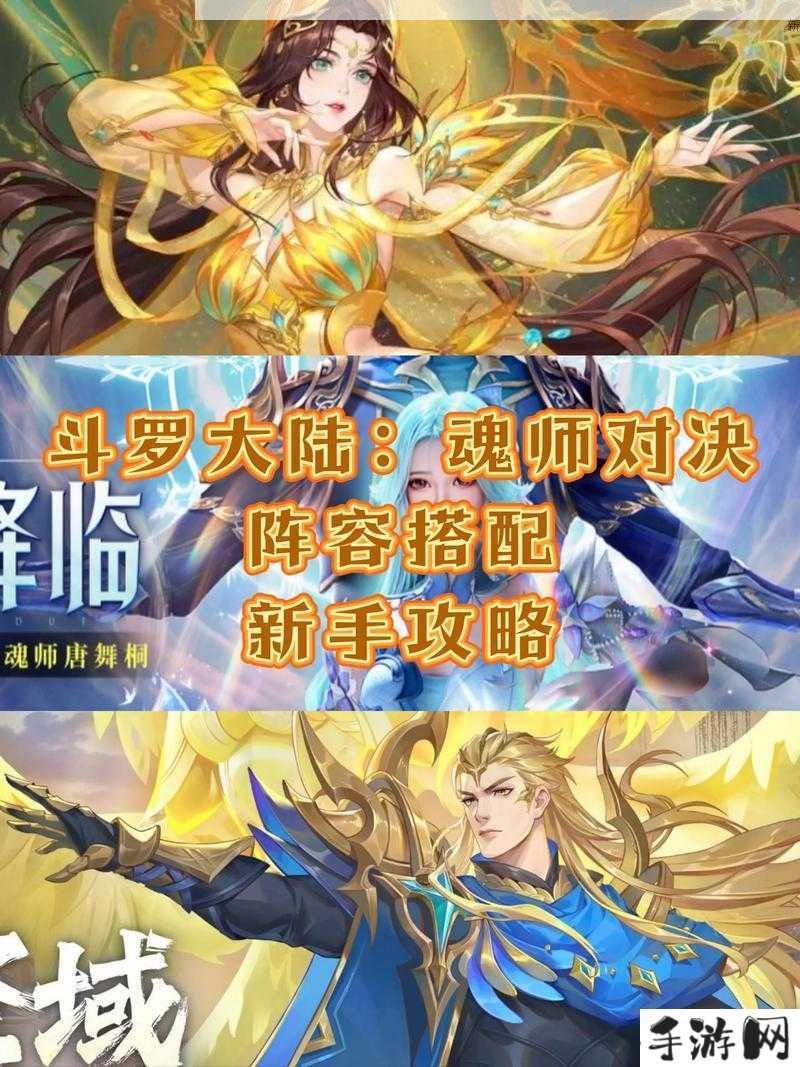 斗罗大陆魂师对决神位选择攻略，如何高效管理与利用资源