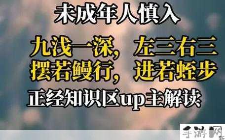 9浅1深左3右3＂含义及应用实例探究