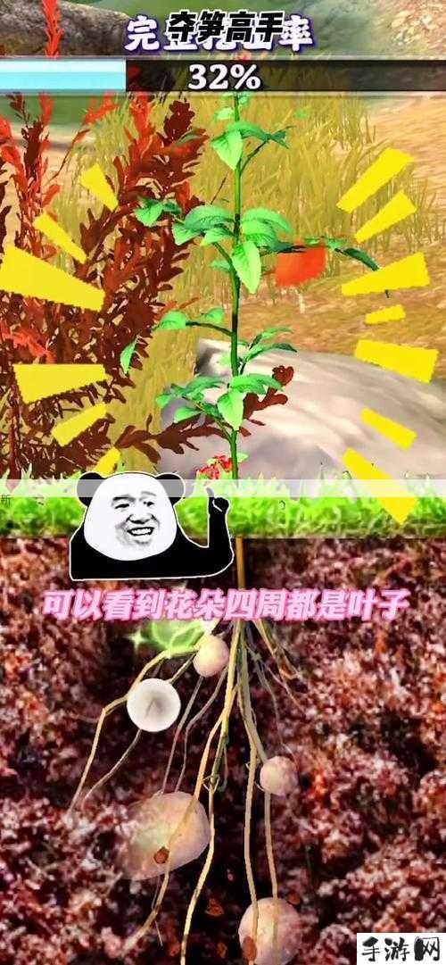 夺笋高手，九转还魂芝位置介绍与资源管理的重要性